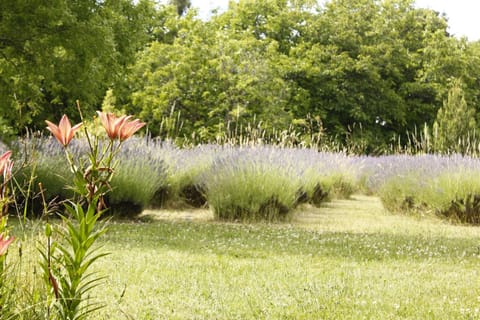 Garden, Garden view