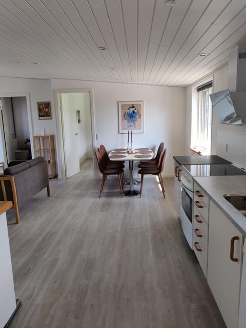 Kitchen or kitchenette, Dining area, oven, stove