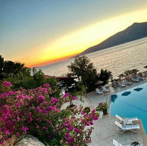 Pool view, Sunset