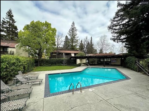 Patio, Pool view, Swimming pool, sunbed