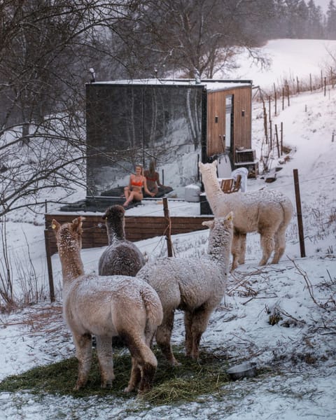 Facade/entrance, View (from property/room), Balcony/Terrace, Animals, Open Air Bath