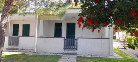 Property building, Patio, Day, Garden, Garden, Photo of the whole room