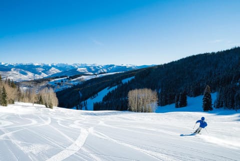 C3 Meadows Villa in Beaver Creek