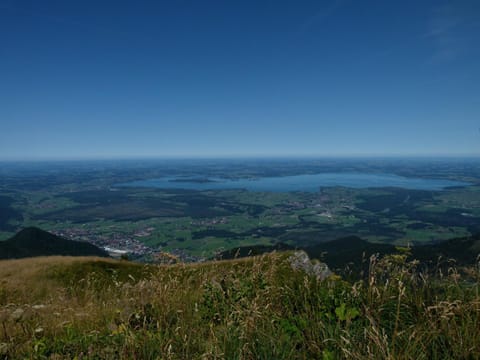 Ferienwohnung Landhaus zum Sonnenschein Apartment in Grassau