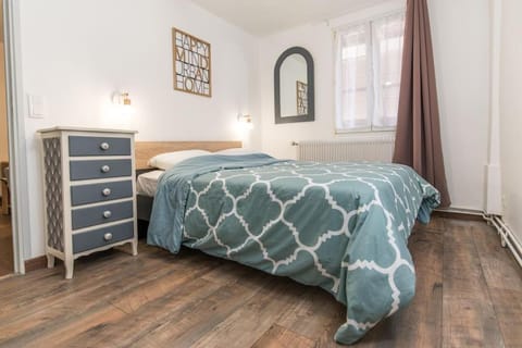 NEW L'industr'ILL au cœur De l'Alsace Apartment in Sélestat