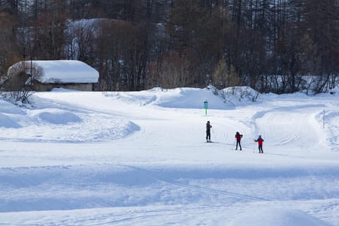 Skiing