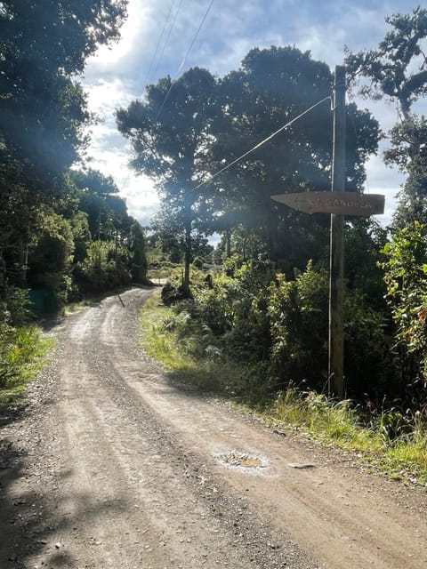 La Bromelia/Cabaña de Montaña, Cerro de la Muerte. Chalet in Cartago Province, Costa Rica