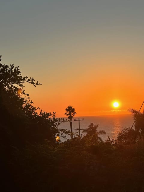 Patio, Natural landscape, View (from property/room), Balcony/Terrace, Garden view, Sea view, Sunset