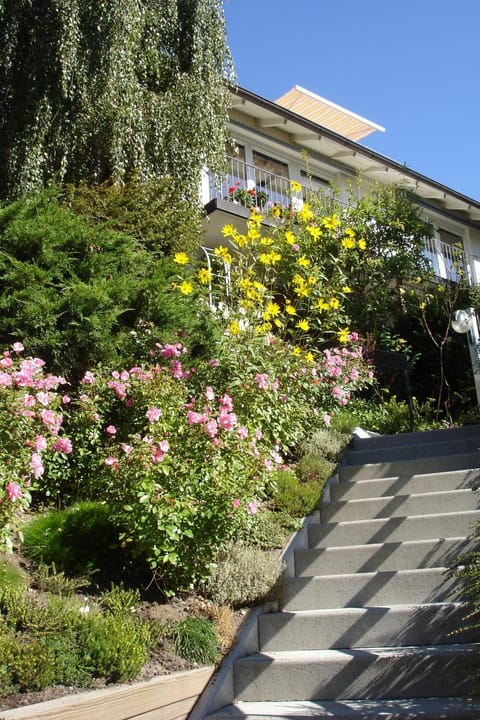 Property building, Garden, Garden view