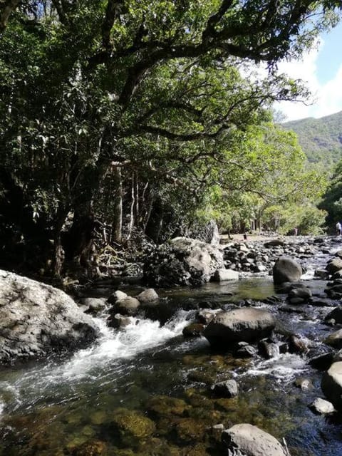 Natural landscape, River view