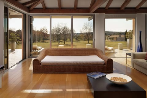 Living room, Seating area, Garden view