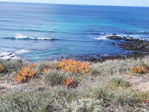 Juleca Apartment in Peniche