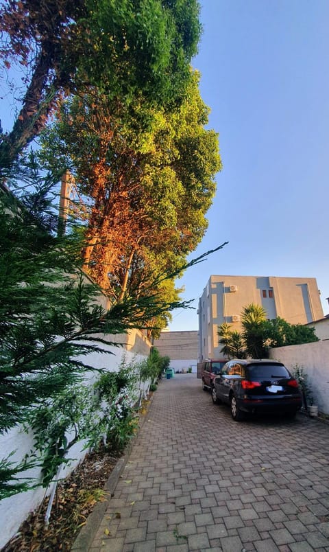 Property building, Spring, Day, Garden