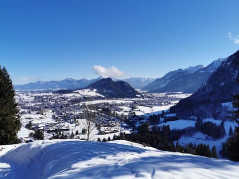 Natural landscape, Winter, Mountain view