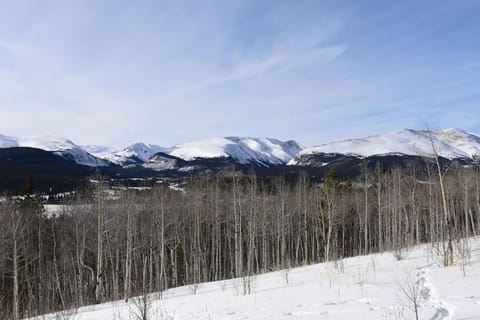 Amazing Private Luxury Home with Stunning Panoramic Views - The Timbers at Glacier Ridge House in Park County