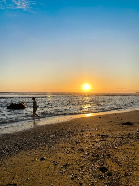 Natural landscape, Beach, Sunset