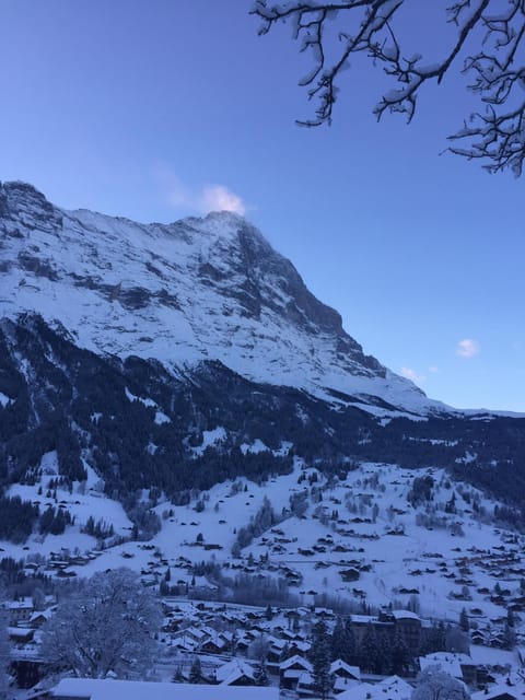 Chalet Grünegg Condo in Grindelwald