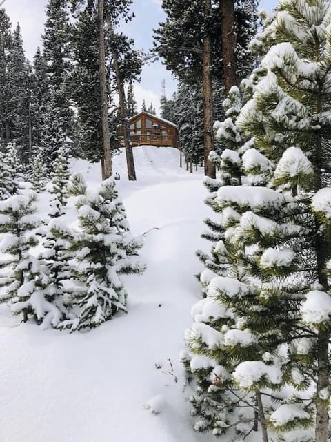 Amazing Views Day & Night Plus Private Hot Tub - Lunar View Lodge House in Park County