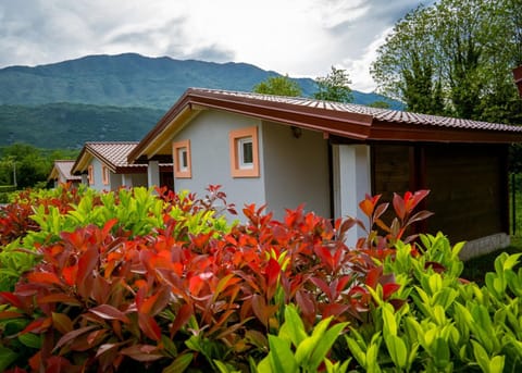 Seosko domaćinstvo Jovanović Country House in Podgorica Municipality, Montenegro