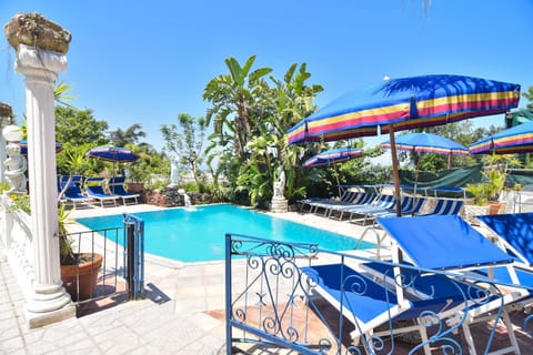 Pool view, Swimming pool, sunbed