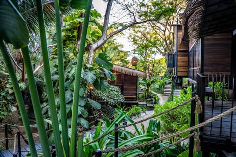 Garden, Beach, Garden view