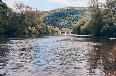 Natural landscape, River view