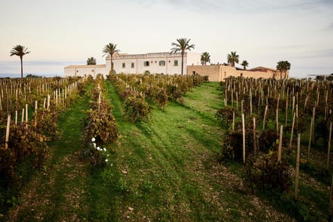 Agriturismo Baglio Donnafranca Wine Resort Estância in Marsala