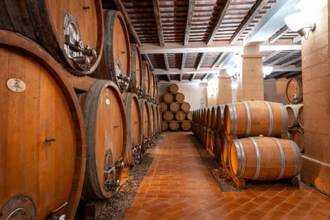 Agriturismo Baglio Donnafranca Wine Resort Estância in Marsala