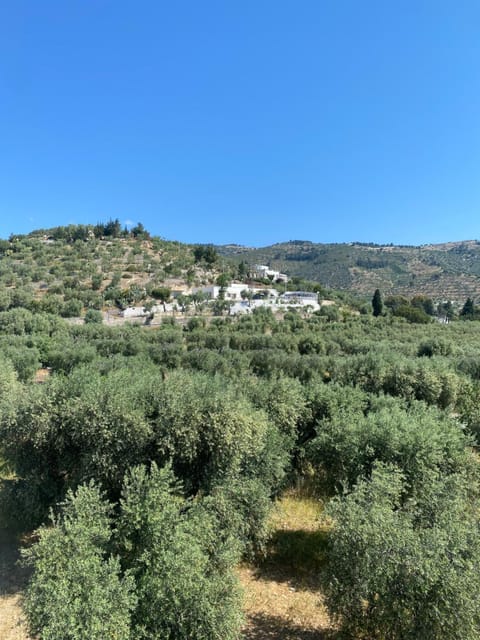 Natural landscape, View (from property/room), Mountain view