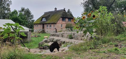 Property building, Garden, Animals