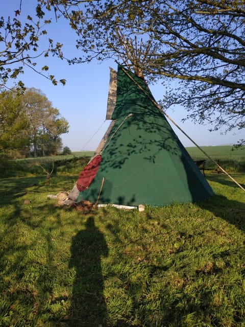 Spring, Day, Natural landscape, Garden