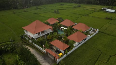 Property building, Bird's eye view, Garden, Garden view