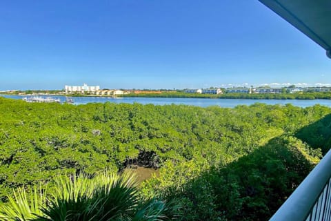 Mariner's Pointe 503 Apartment in Indian Shores