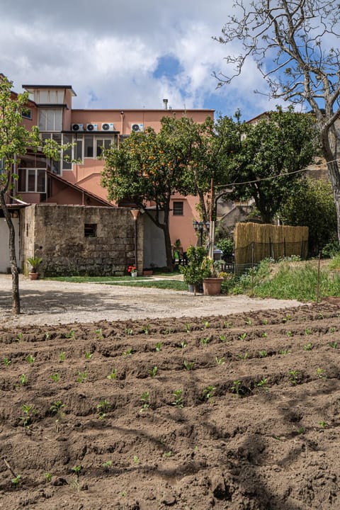 Property building, Garden