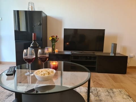 Business Apartment mit Terrasse Apartment in Dresden-Neustadt