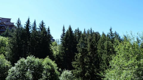 Résidence Aiguille Des Glaciers - 4 Pièces pour 8 Personnes 71 Apartment in Landry