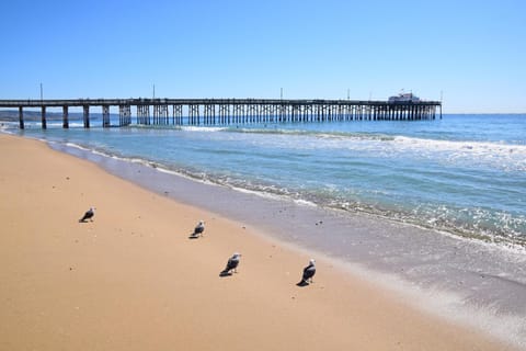 Cheery Retreat Apartment in Balboa Island