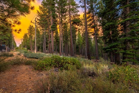 Marshall Escape House in South Lake Tahoe