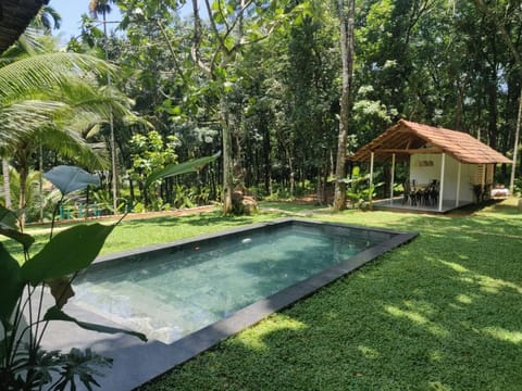 Garden, Pool view, Swimming pool