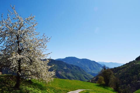 Spring, Day, Natural landscape, Mountain view