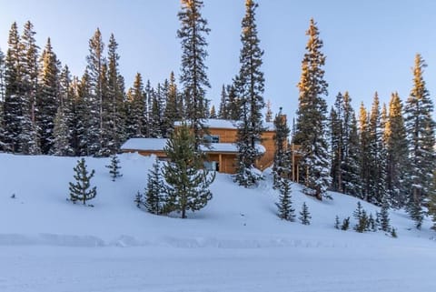 Beautiful New Construction Home with Great Views and Pool Table - Silverheels Chalet House in Park County