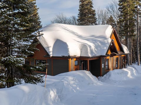 L'ours de Charlevoix - Chalet proche du Massif avec spa Chalet in Baie-Saint-Paul