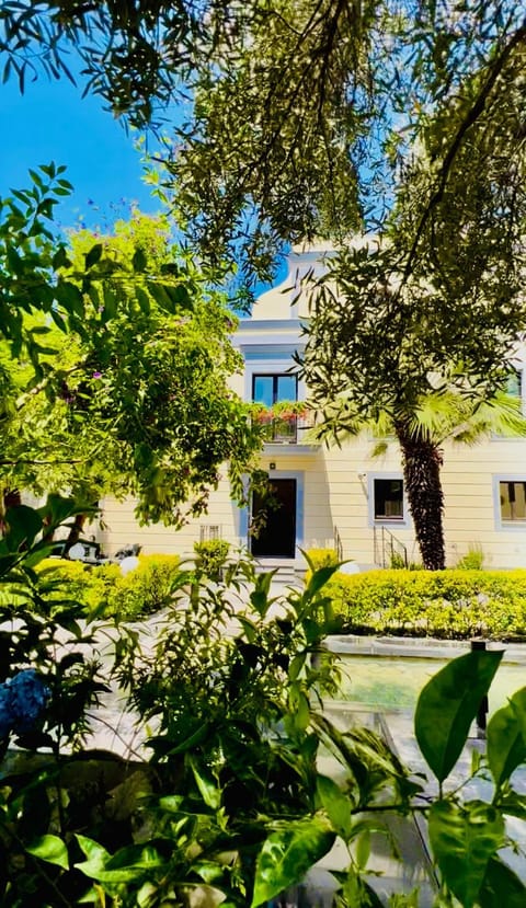 Property building, Garden, Garden view