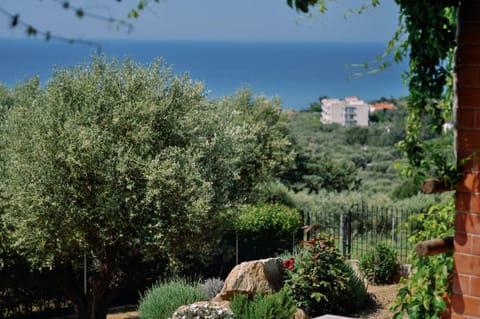 Natural landscape, Sea view