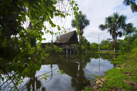 Lake view