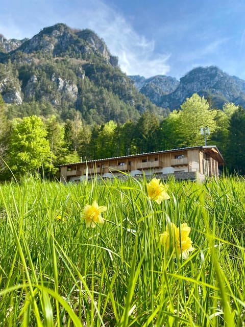 Property building, Day, Natural landscape, Garden, Garden view, Mountain view