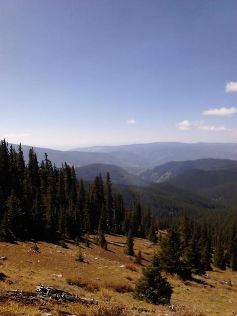 Stay at the Treeline with Fabulous Views! On Top of the World at Ptarmigan Lodge House in Park County