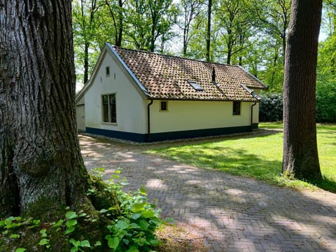 Property building, Natural landscape, Garden view