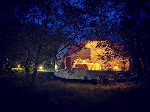 Property building, Night, Garden view