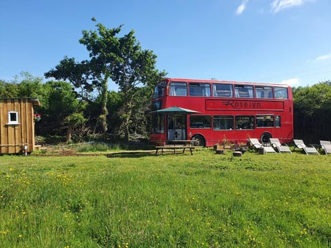 Double Decker Bus on an Alpaca farm sleeps 8, 5 mins drive to Dartmoor House in Bovey Tracey